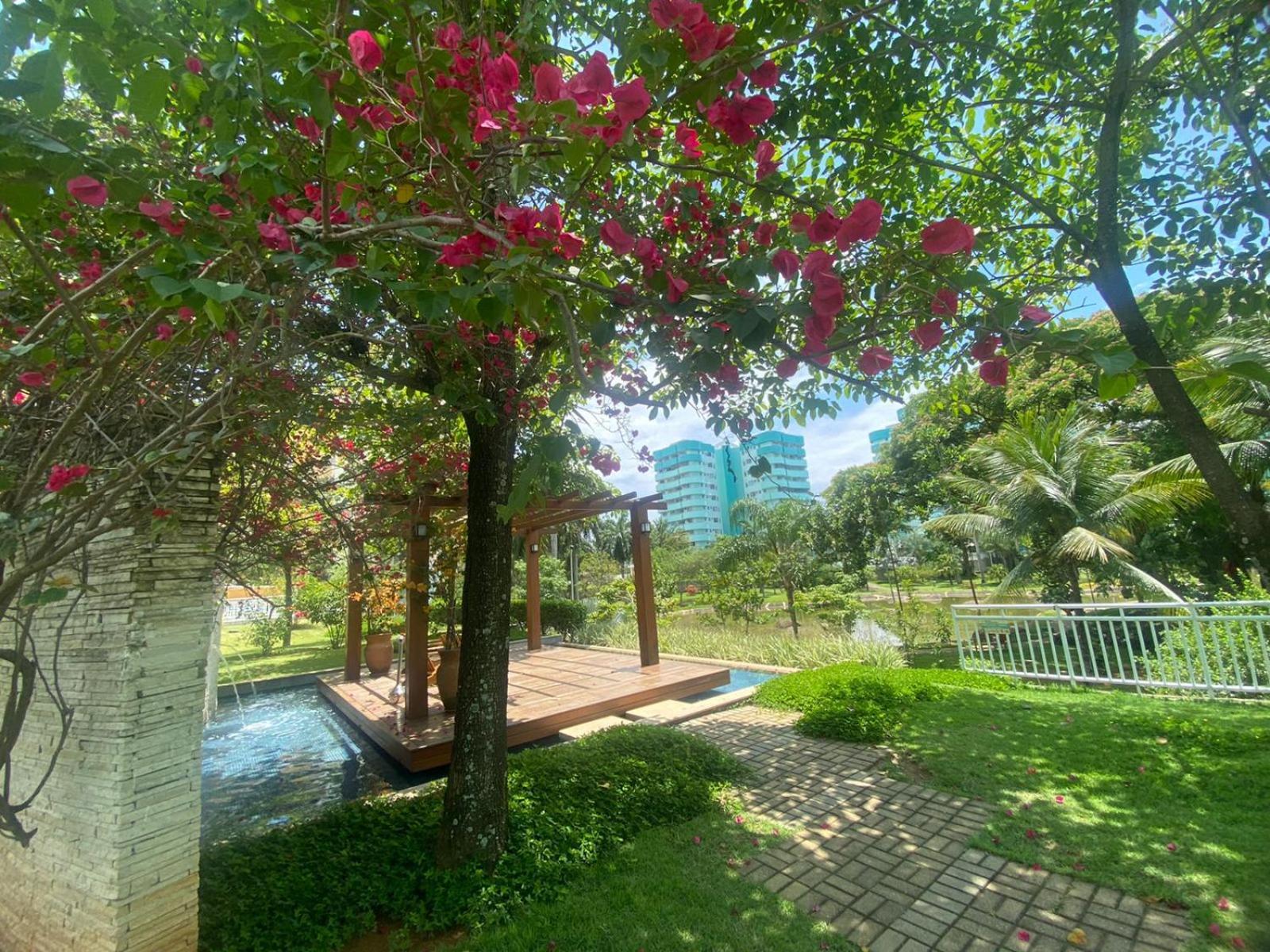 Mountain, And Pool View * 里约热内卢